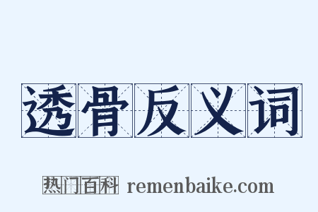 透骨反义词是什么意思的图片